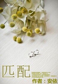 匹配(娱乐圈)