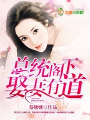 總統閣下，娶妻有道/二胎計劃，霸道總統寵寵寵！