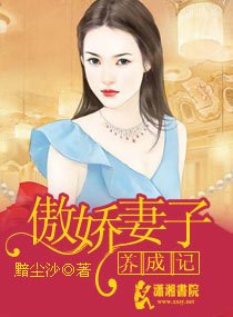 傲娇妻子养成记