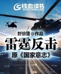 雷霆反擊/國家意志