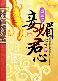 重生劫:妾媚君心