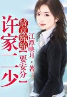 許家二少