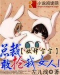 放肆宝宝:总裁敢抢我女人