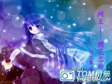 (網王同人)櫻花戀曲