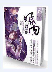 婚內“家暴”犯