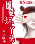 《圈愛壞丫頭》