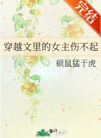 《穿越文裡的女主傷不起》