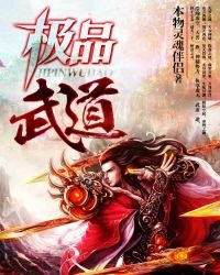 《极品武道》