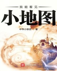 《我能看见小地图》
