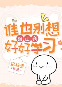 《(综漫同人)谁也别想阻止我好好学习》