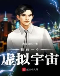 《我有一个虚拟宇宙》