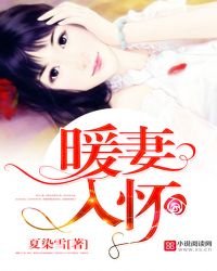 《暖妻入懷》