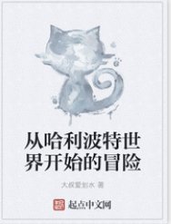 《(哈利波特同人)从哈利波特世界开始的冒险》