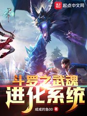 （鬥羅同人）鬥羅之武魂進化系統