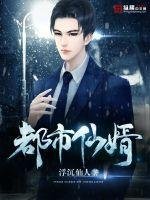 《都市仙婿》
