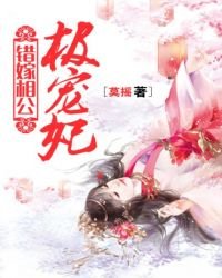 《錯嫁相公極寵妃》