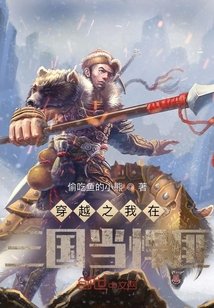 《穿越之我在三國當悍匪》