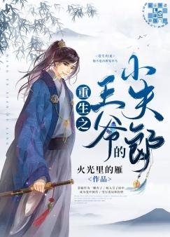 重生之王爺的小夫郎