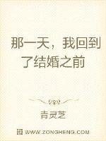 《那一天,我回到了結婚之前》