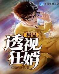 《極品透視狂婿》