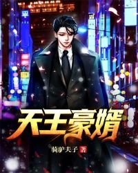 《天王豪婿》
