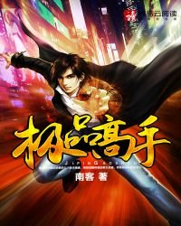 《极品高手》