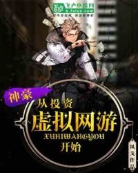 《神豪從投資虛擬網遊開始》