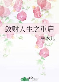 《(BG/綜同人)斂財人生之重啟》