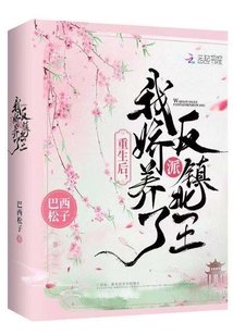 《重生後,我嬌養了反派鎮北王》