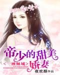 一顾倾城:齐少的甜美娇妻