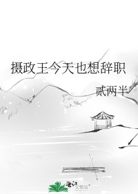 摄政王今天也想辞职