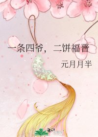 《一條四爺,二餅福晉》