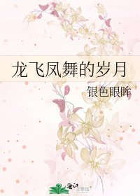 龍飛鳳舞的歲月
