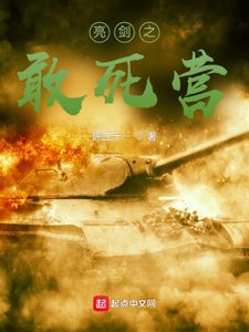 《亮劍之敢死營》