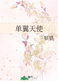 《單翼天使》
