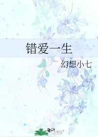 错爱一生