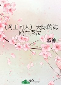 《(網王同人)天際的海鷗在哭泣》
