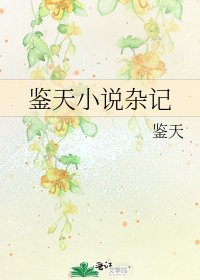 鉴天杂记