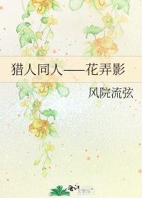 《獵人同人——花弄影》