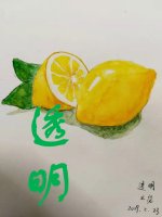 透明
