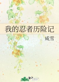 我的忍者历险记