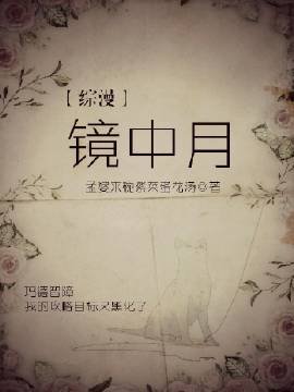 【综漫】镜中月