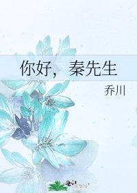 你好,秦先生
