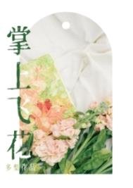 《掌上飛花》