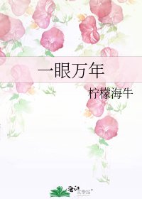 一眼万年