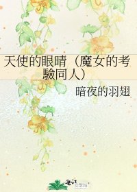 《天使的眼晴(魔女的考驗同人)》