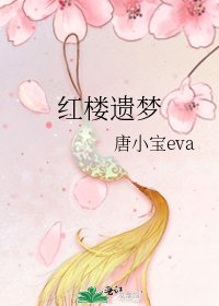 《红楼遗梦》