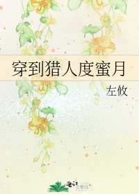 穿到猎人度蜜月