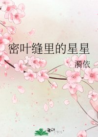 密叶缝里的星星