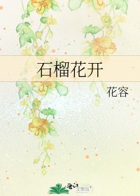 石榴花开